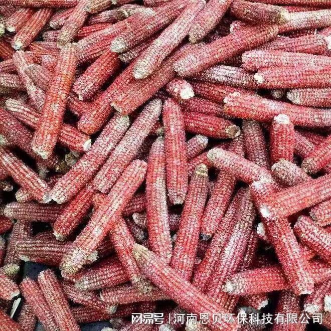 养殖业绿色发展畜牧饲料玉米芯粉碎机能否成为你的得力助手？